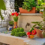 Villa Alma By Guide Orbanići